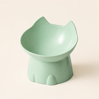 Raised & Tilted Cat Bowl