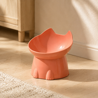 Raised & Tilted Cat Bowl