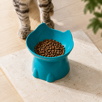 Raised & Tilted Cat Bowl