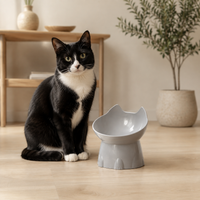 Raised & Tilted Cat Bowl