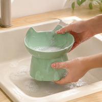 Raised & Tilted Cat Bowl
