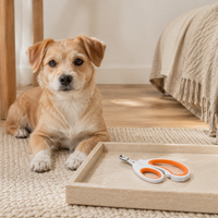 Round-Hole Pet Nail Clippers