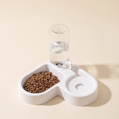 ZooBliss 2-in-1 food and water pet bowl on a warm ivory studio background