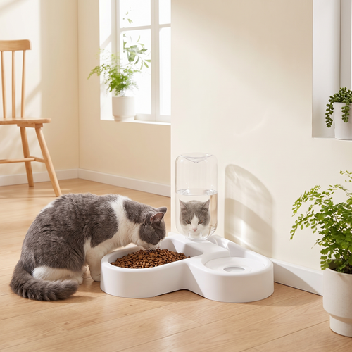 2-in-1 food and water pet bowl in a minimal home feeding area
