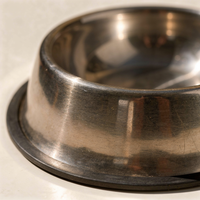 Close-up detail of a stainless steel pet bowl